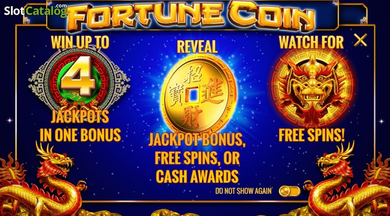 Image: The GameWise Guide: Understanding Fortune Coin Slots